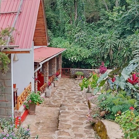 Mrefu Eco-Lodge Marangu Buitenkant foto