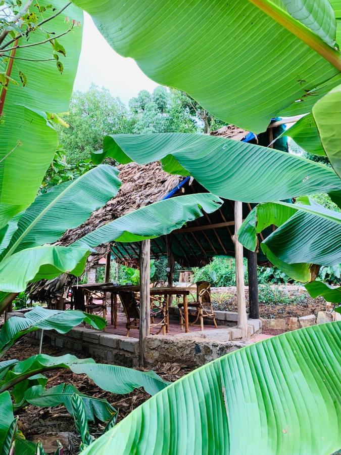 Mrefu Eco-Lodge Marangu Buitenkant foto