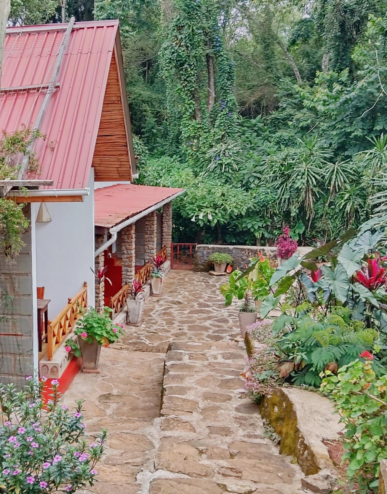 Mrefu Eco-Lodge Marangu Buitenkant foto